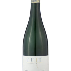 2022er Riesling Winzersekt b.A. halbtrocken