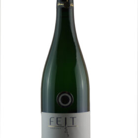 2022er Riesling Winzersekt b.A. halbtrocken